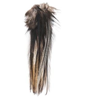 Lancettes de Pardo foncé