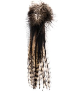 Lancettes de Pardo grizzly