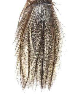 pelles de pardo claire