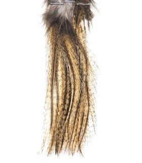 Pelles de Pardo Badger