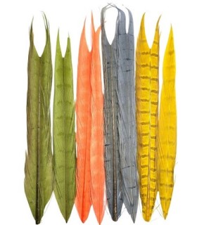 queue de faisan devaux fullcolor