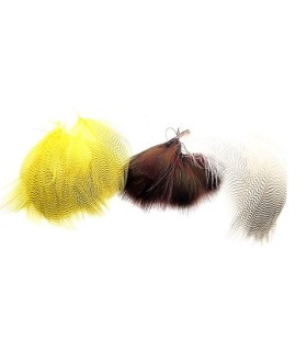 plumes flanc de canard