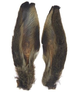 oreilles de lièvre naturel