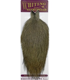 Cous Coq de léon Cape Med Pardo