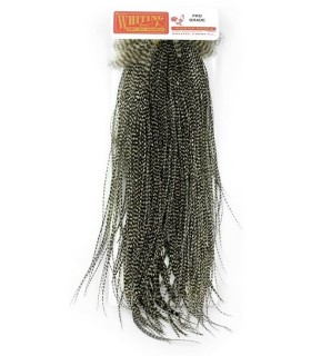 Cous de coq Whiting Pro Grade Midge Saddle Grizzly