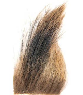 Poils de sanglier