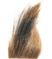 Poils de sanglier