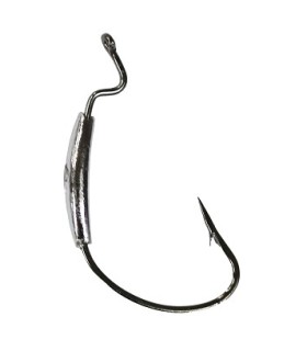 WP Worm Hook