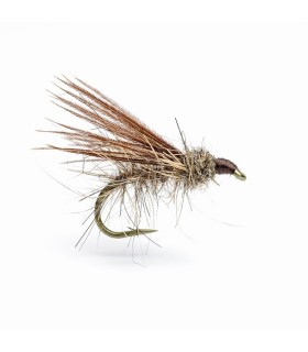 NY SEDGE