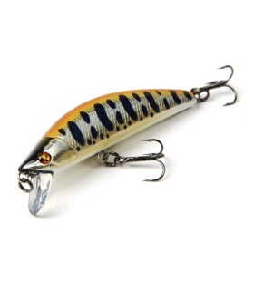 Emishi 65 S  Coloris HYM Nouveauté 2014