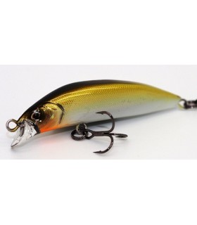 Ray tune SA50RS Shad