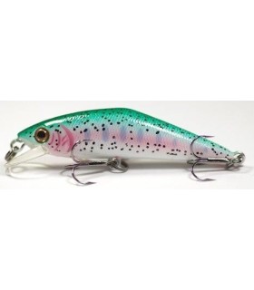 D CONTACT Truite arc en ciel