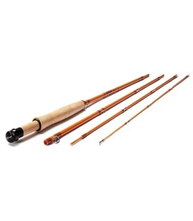 SCOTT F Serie