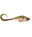 Guppie JR Shallow N°10