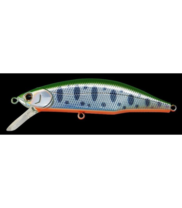 JACKSON METEORA 63 - Fish In Golfe
