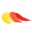 Plumes streamers