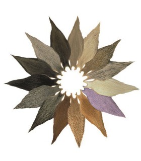 cous Metz Grade 2 demi