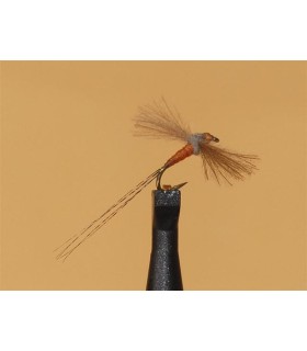 SPC OR hameçons: 20