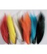 Bucktail assortiment 6 coloris standard