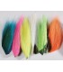 Bucktail assortiment 6 coloris fluo