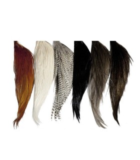 Demi-cou Hebert silver G2