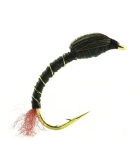 NCH 10