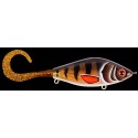 Guppie JR Shallow