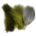 Plumes diverses